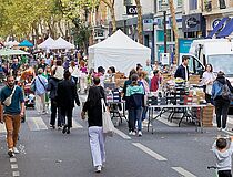 Journée de la mobilité 2024 - Agrandir l'image (fenêtre modale)